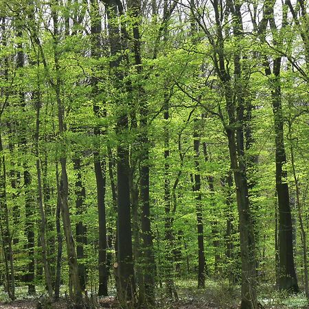 Ferienwohnungen Fischer Strullendorf Екстер'єр фото